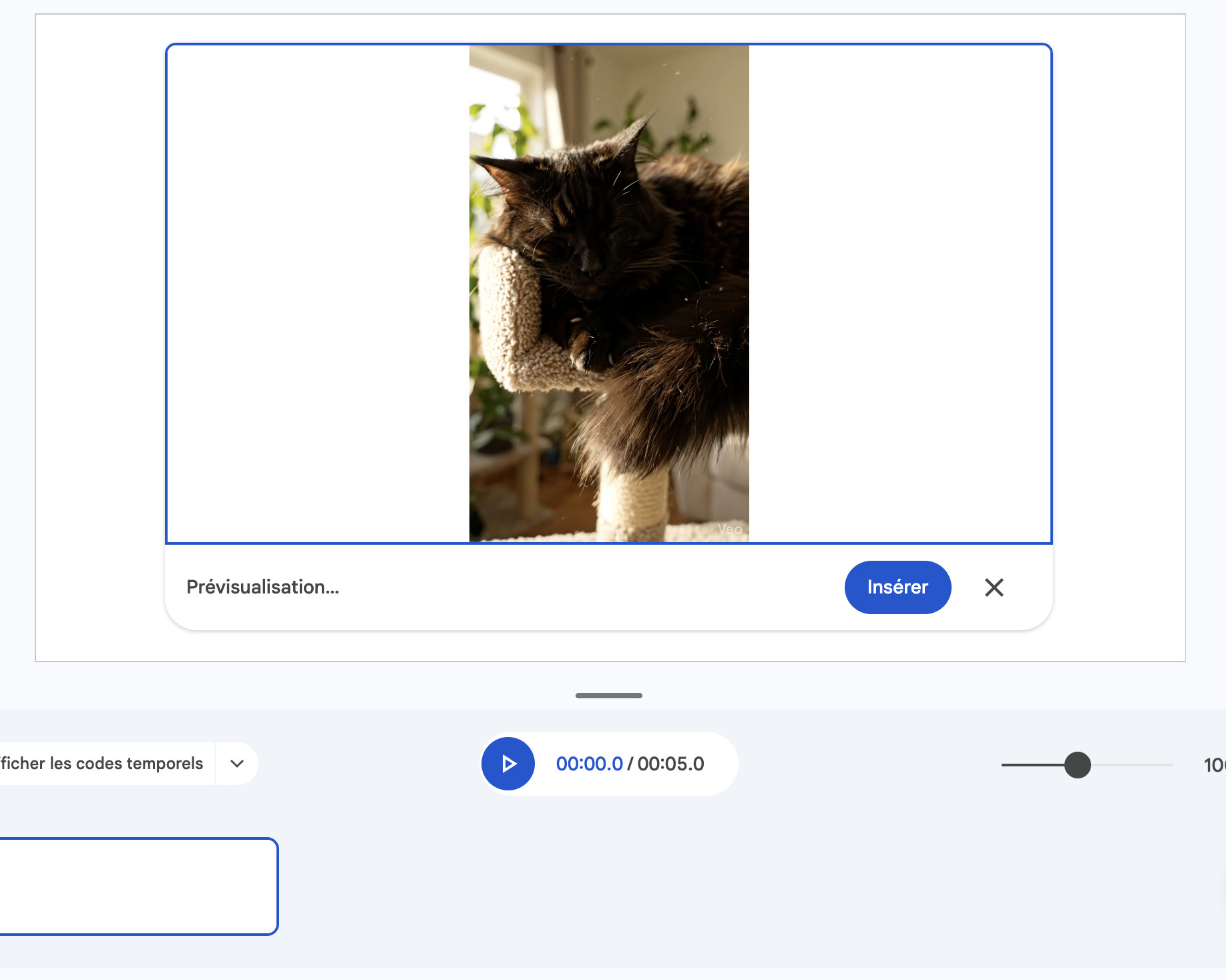 Résultat de génération vidéo avec Veo 3.1 dans Google Vids, prévisualisation d'un chat sur un arbre à chat